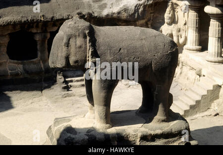 Cave n° 16 : temple Kailasa, éléphant en cour, Ellora, Aurangabad, Maharashtra, Inde Banque D'Images