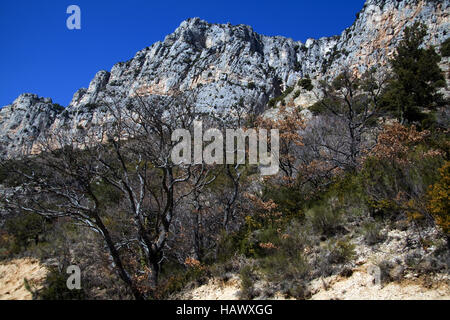 Les Gorges du Verdon, Haute Provence, France Banque D'Images