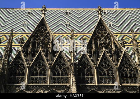 La Cathédrale Saint-Étienne Banque D'Images