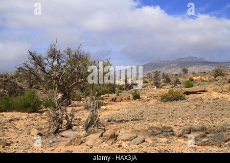 Djebel Shams Banque D'Images