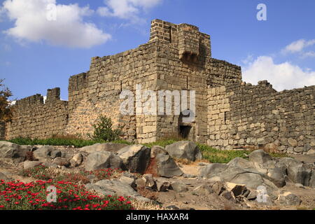 Qasr al-Azraq Banque D'Images