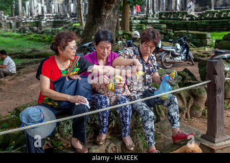 Trois femmes chinois manger des bananes en dehors des murs de la 12e siècle ruines du temple d'Angkor Thom, Siem Reap, Cambodge. Banque D'Images