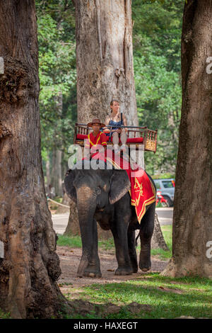 Un kazoo-jouer mahout sérénades son éléphant asiatique avec 'Jingle Bells' tandis que les clients à Angkor Thom de temples. Banque D'Images