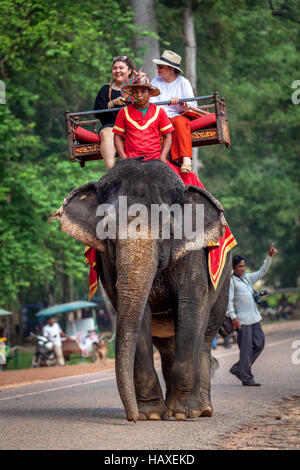 Un kazoo-jouer mahout sérénades son éléphant asiatique avec 'Jingle Bells' tandis que les clients à Angkor Thom de temples. Banque D'Images