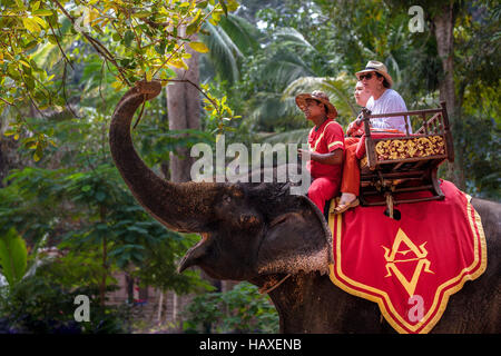 Les touristes monter un éléphant affamé qui s'est arrêté pour un en-cas rapide à Angkor Thom temple ruins à Siem Reap, Cambodge. Banque D'Images