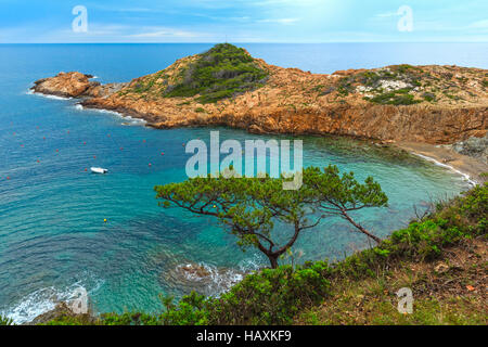 Sea bay vue d'été avec de petites plage sauvage et de conifères à l'avant. Costa Brava, Catalogne, Espagne. Banque D'Images