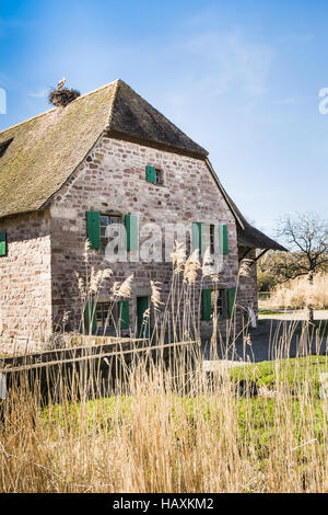 Maison en pierre historique, nid de cigogne Banque D'Images