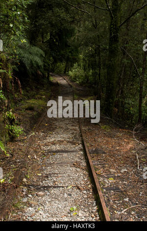 Certains des rails restent encore le long de l'ancienne voie de chemin de fer de la mine de charbon du ruisseau charmant à la côte de la Nouvelle-Zélande. Banque D'Images