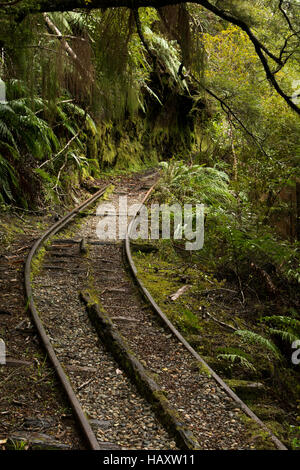 Certains des rails restent encore le long de l'ancienne voie de chemin de fer de la mine de charbon du ruisseau charmant à la côte de la Nouvelle-Zélande. Banque D'Images