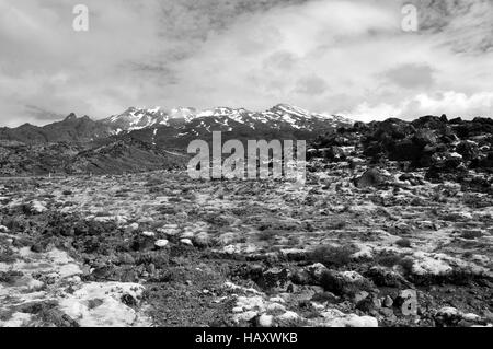 Terrain alpin autour de Parc National de Tongariro, île du Nord Nouvelle-zélande Banque D'Images