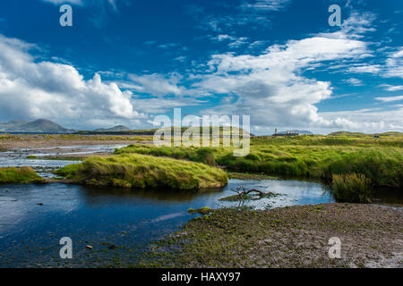 Paysage côtier en Irlande Banque D'Images