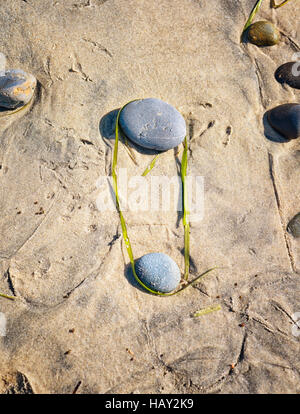 Rock entouré de varech sur le sable Banque D'Images