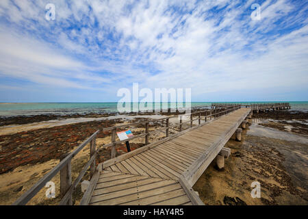 La promenade surplombant les stromatolites de Hamelin Pool Réserve Naturelle Marine. La baie Shark, Australie occidentale Banque D'Images