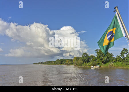 Amazonie, Brésil Banque D'Images