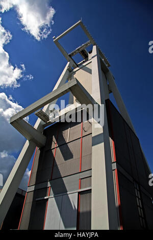 Tour de l'arbre, Goettelborn, Saarland, Allemagne Banque D'Images