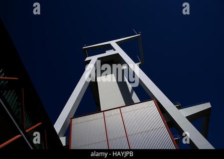 Tour de l'arbre, Goettelborn, Saarland, Allemagne Banque D'Images