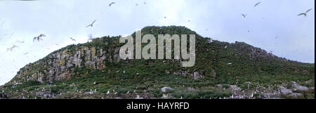 La structure géologique de la masse 2. Rock démonstratif de l'océan Pacifique (îles Aléoutiennes dans la chaîne volcanique) est d'origine volcanique, composé de colonnes de basalte (basaltes joi Banque D'Images