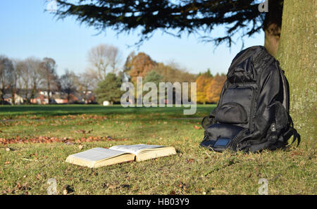 Lecture de livres dans le parc en vertu de l'arbre dans le coucher du soleil Banque D'Images