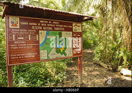 Bassin amazonien, le Parc National Tambopata, Pérou Banque D'Images