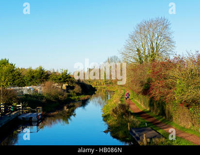 Couple en train de marcher le long du chemin de halage du canal Bridgwater et Taunton, près de Maunsel Lock, Somerset, England UK Banque D'Images