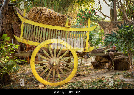 Panier en bois coloré avec hay se dresse sur une ferme Banque D'Images