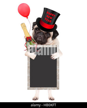 Cute puppy pug dog wearing top hat avec texte bonne année, holding champagne bouteille et blank blackboard signe, isolé sur fond blanc Banque D'Images