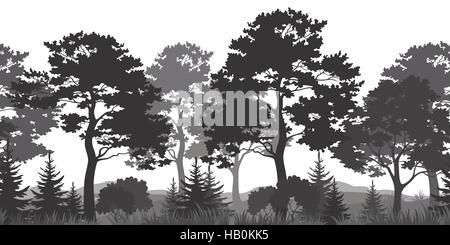 Arrière-plan transparent, silhouettes de forêt en été Banque D'Images