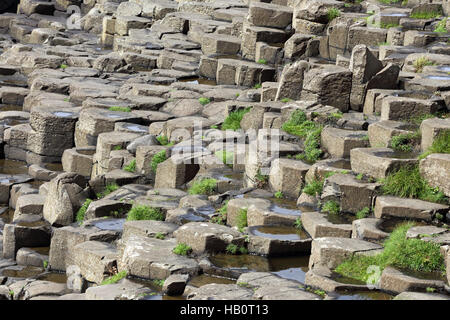 Les colonnes de basalte de Giant's Causeway, Ulster GO Banque D'Images