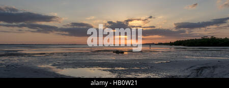 Le coucher du soleil, la baie de San Carlos, Bunche Beach préserver, en Floride Banque D'Images