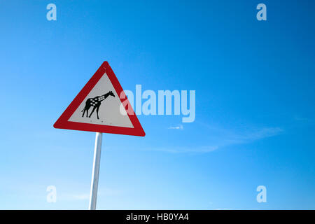 Danger de circulation Passage Girafe Road Sign en Namibie, l'Afrique. Banque D'Images