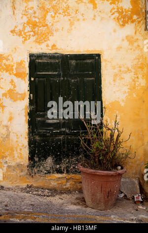 Vue verticale de porte en bois peint vert foncé situé dans la paroi de couleur jaune avec plante en pot à côté ; la peinture est fanée Banque D'Images