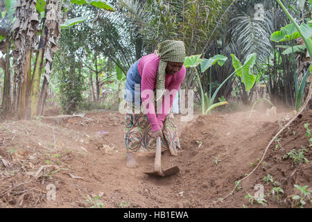 Femme africaine noire les terres agricoles dans les zones rurales du Cameroun Afrique de l'ouest de la terre d'excavation manual engagés dans le travail manuel Banque D'Images