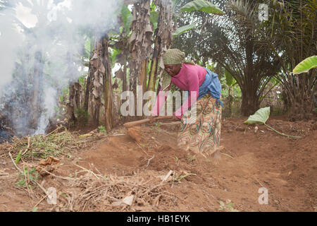 Femme africaine noire les terres agricoles dans les zones rurales du Cameroun Afrique de l'ouest de la terre d'excavation manual engagés dans le travail manuel Banque D'Images