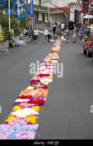 Procession en Santana sur Madère Banque D'Images