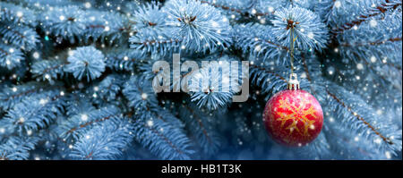 Boule de Noël rouge sur la branche de sapin . Banque D'Images