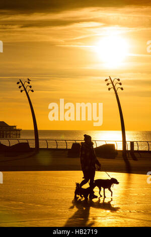 Blackpool, Lancashire, Royaume-Uni. 9Th Jul 2016. Météo France : Après une belle journée ensoleillée sur le nord ouest de l'Angleterre, une jeune femme entre ses chiens comme le soleil qui broute sur la chaussée de la comédie. Credit : Cernan Elias/Alamy Live News Banque D'Images