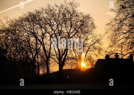 Londres, Royaume-Uni. 5 déc, 2016. Météo britannique. Air Voyage. Un magnifique lever du soleil d'or sur un matin glacial du nord de Londres. Credit : Dinendra Haria/Alamy Live News Banque D'Images