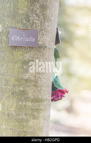 Sépulture, arbre cimetière waldfriedhof Banque D'Images