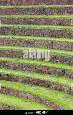 Tour de terrasses agricoles Incas dans la Vallée Sacrée, Pérou Banque D'Images