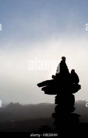 La silhouette de pierres empilées sur Kukenan Roraima tepui ou Mt avec des nuages le matin. Gran Sabana. Le Venezuela. Banque D'Images