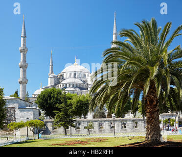 Mosquée Sultan Ahmed (Mosquée Bleue), Istanbul Banque D'Images