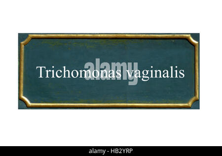 Shield Trichomonas vaginalis Banque D'Images