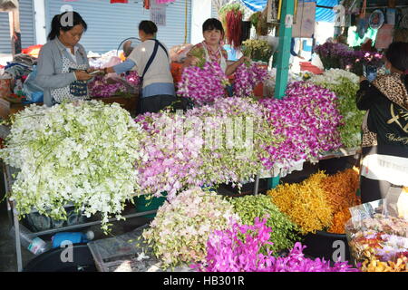 Vente de décrochage à orchidées marché Chinatown de Chiang Mai Banque D'Images