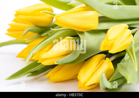 Bouquet de fleurs tulipes Banque D'Images