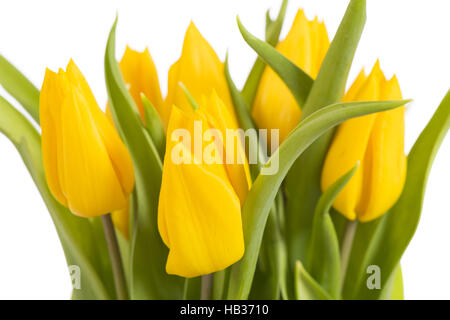 Bouquet de fleurs tulipes Banque D'Images