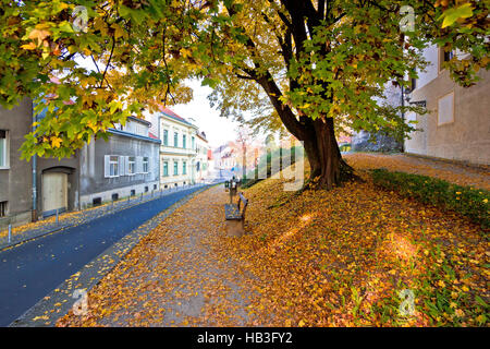 Zagreb ville haute historique Vue d'automne Banque D'Images