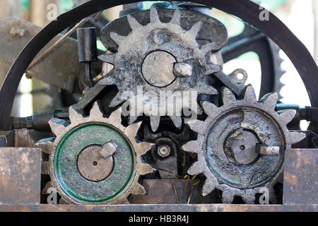 Roues transmissions rétro pour extraire le sucre de canne, Venezuela Banque D'Images