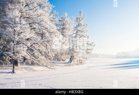 Parc d'hiver dans la neige Banque D'Images