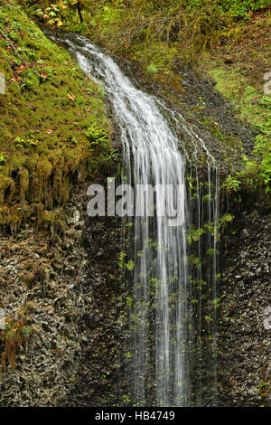 Chute d'inconnu à Silver Falls State Park Banque D'Images