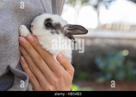 Femme tenant dans ses mains bébé lapin Banque D'Images